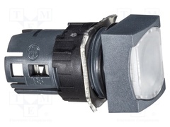 ZB6CF1