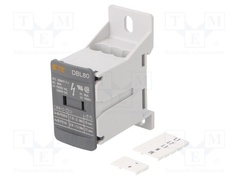 1SNL308010R0000 (DBL80)