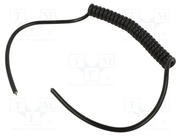 SPT00038C