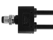 M8 Male Molded 2 Cables, Straight