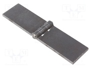 GN 1366-ST-160-40-A-BL