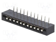 DS1020-11RT1D