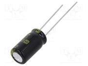 EEUFM1E331L