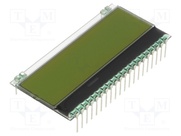 EA DOGM081L-A