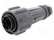 EXP-0911/07/P