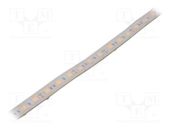 S010060CB1LZ (WARM WHITE IP65)
