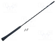 ANT.36