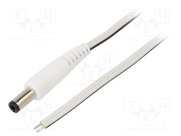P25-TT-T050-050WH