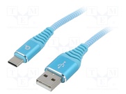 CC-USB2B-AMCM-1M-VW