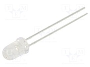 L-7113SYCK