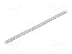 S010120BB1LZ (COLD WHITE IP65)