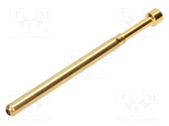 IT125-P10