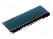 EA DOGM240S-6
