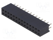 DS1023-2*14S21