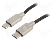 CC-USB2PD60-CMCM-2M