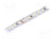 S010120BC1LZ (COLD WHITE IP20)