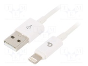 CC-USB2P-AMLM-1M-W