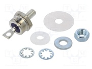 NTE5256AK