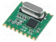 RFM31B-433S1