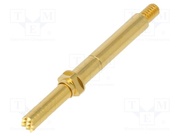 TK36SCR.07.2,30.C.300.A