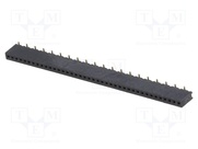 DS1065-02-1*40S8BS1