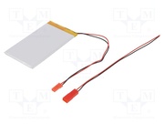 ACCU-LP405090/CL