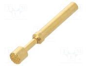 TK37N.07.4,00.M.300.A