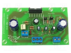 ZSM-NE013