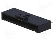 NCDW-12