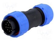 SP2110/P12 II 1N