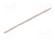 S010060CB1LZ (WARM WHITE IP64)