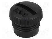 CAP-WBDFSMA1