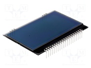 EA DOGM128S-6
