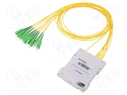 FPLC-G0-2-18-20-1-3-X1-7-SCA-SCA