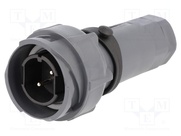 PXP7011/02P/ST/1113