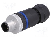 PXPPAM12FIM04ASTPG9