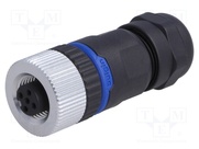 PXPPAM12FBF05ASTPG9