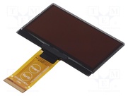 REX012864GGPP3N00000