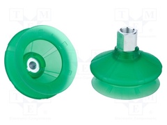 SPB1-50-ED-65-G1/4-IG