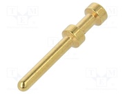 16A-GM-0.37
