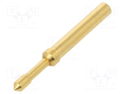 TK37N.06.2,30.M.300.A