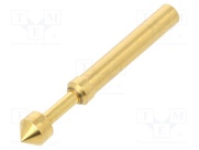 TK37N.06.4,00.M.300.A