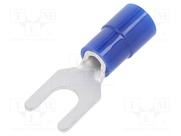 TMEX 2Y-4-BLU