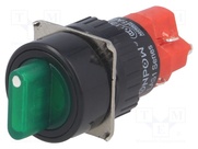 LAS1Y-11X/2/G/12V