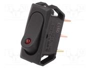R13-242L-01-BBR