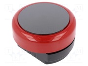 FB/12/RED