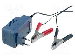 AL 300 PRO 2V/6V/12V