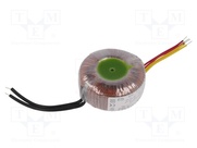 TTS60/Z230/12-12V