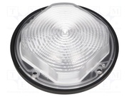 FN14720_STELLA-FRESNEL