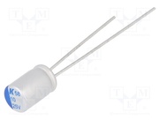 A758BG106M1EAAE070
